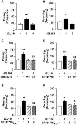 Interacting Cannabinoid and Opioid Receptors in the Nucleus Accumbens Core Control Adolescent Social Play